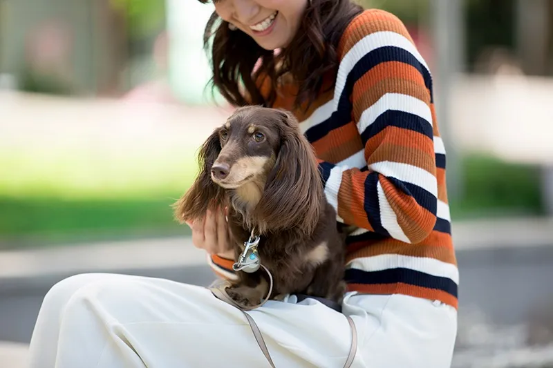 愛犬との暮らしにまつわる感想を掲載