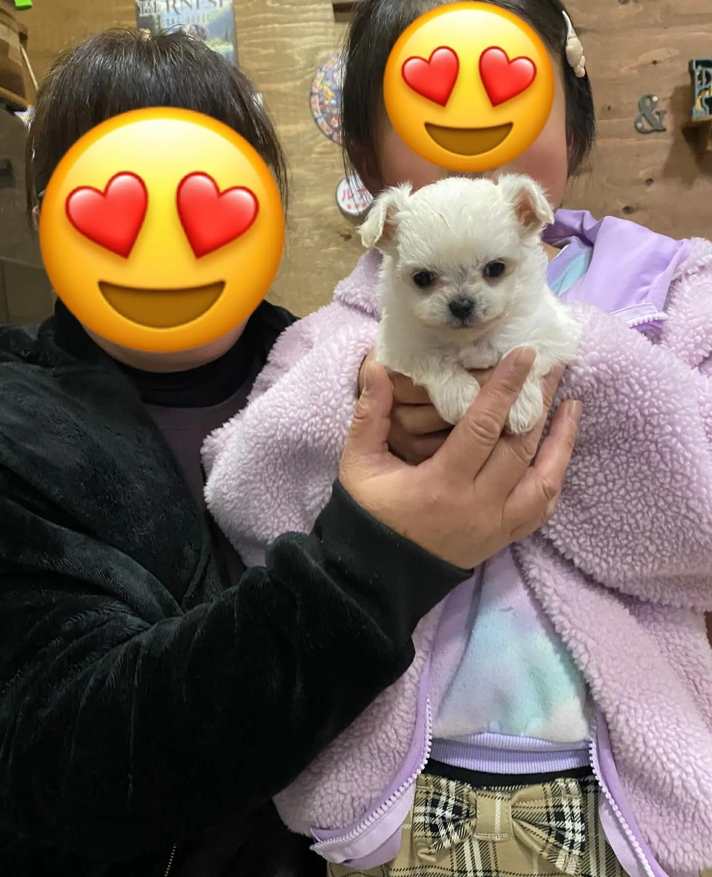 ❤️LOVE＆PEACE DOG HOUSE☮️