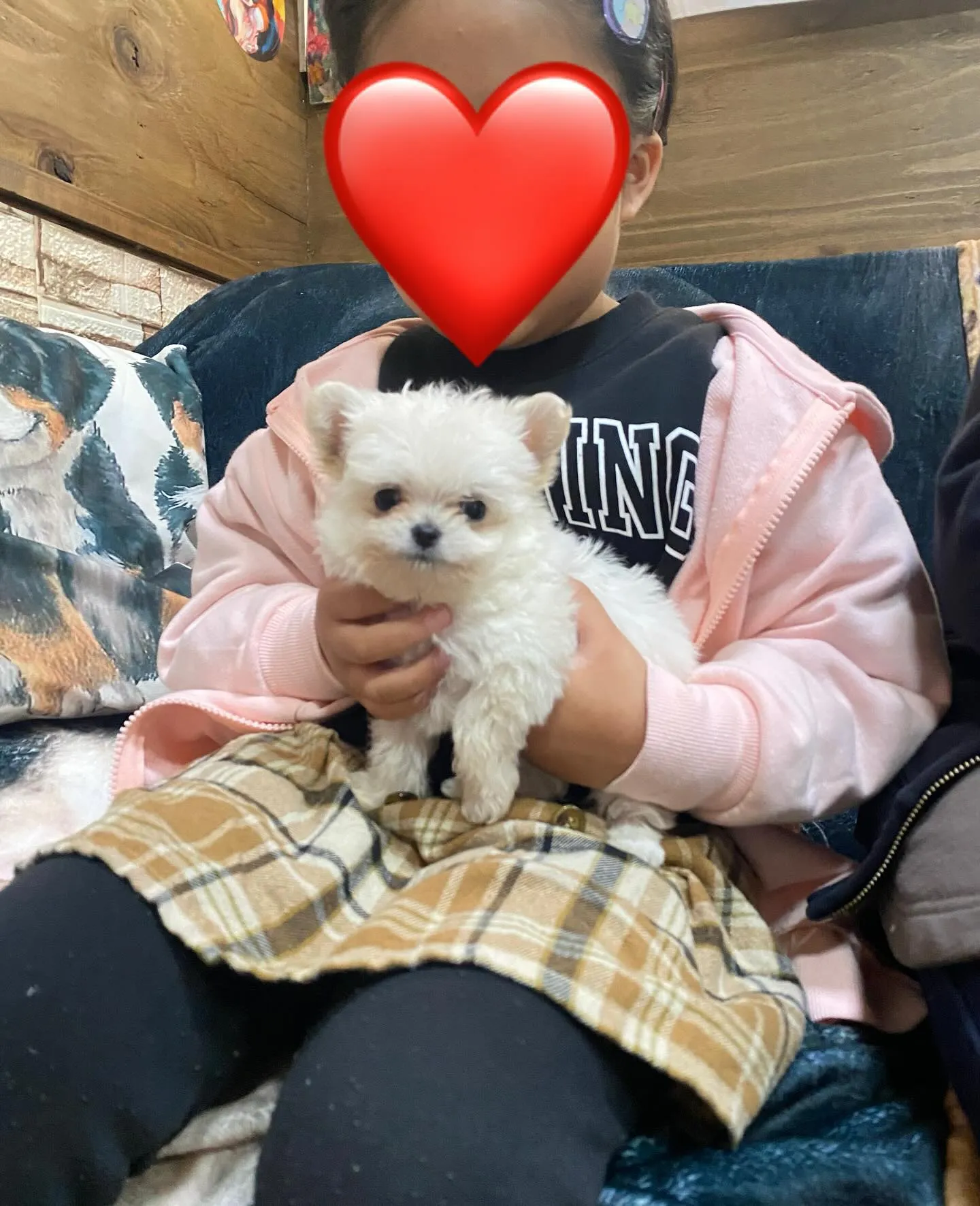 ❤️LOVE＆PEACE DOG HOUSE☮️