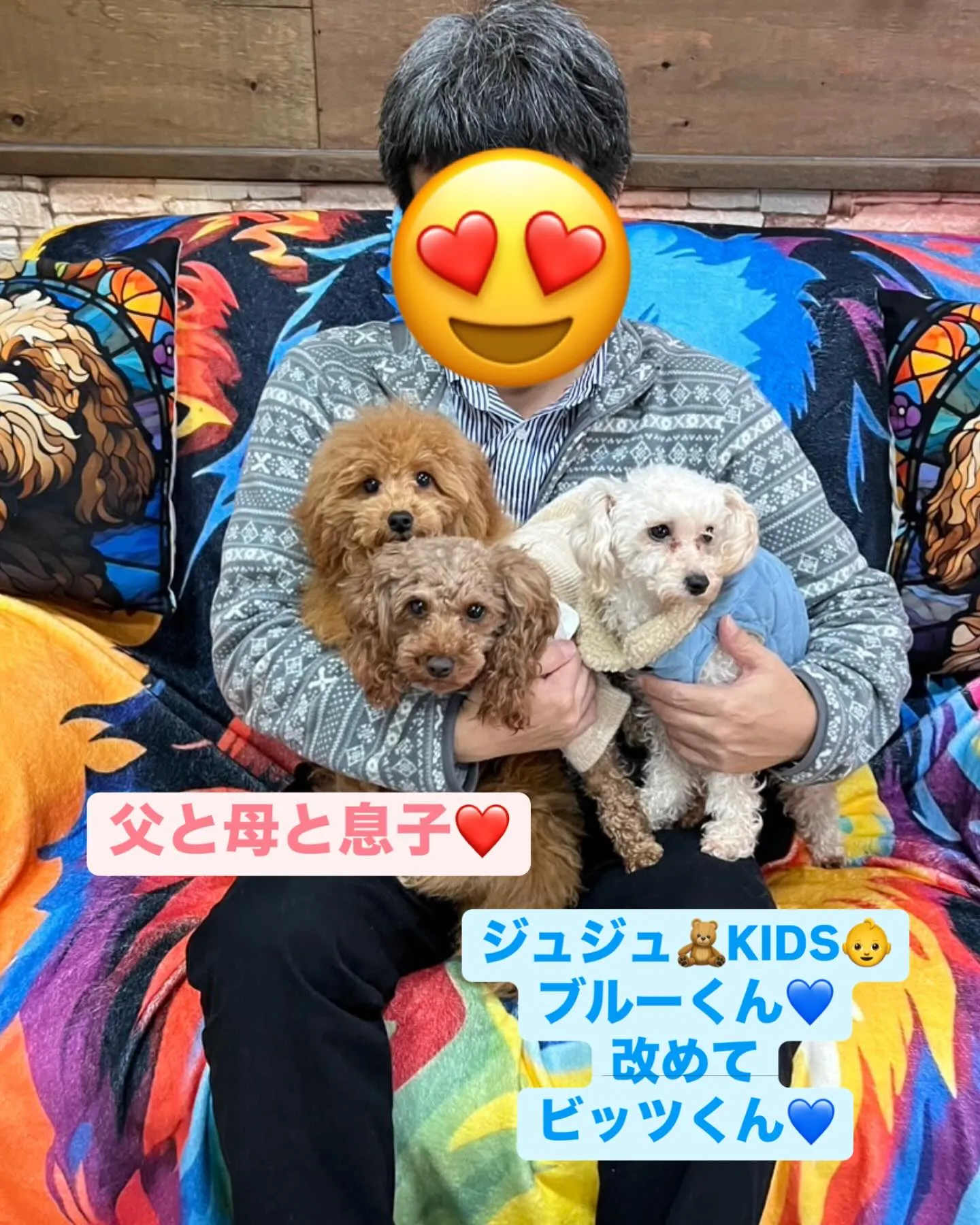 トイプーちゃん🧸ジュジュ🧸💕