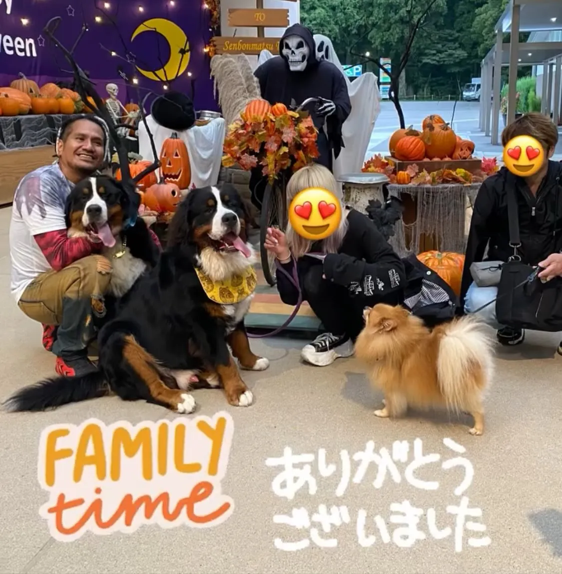 ドリーの兄弟  げんくん🐻️💕