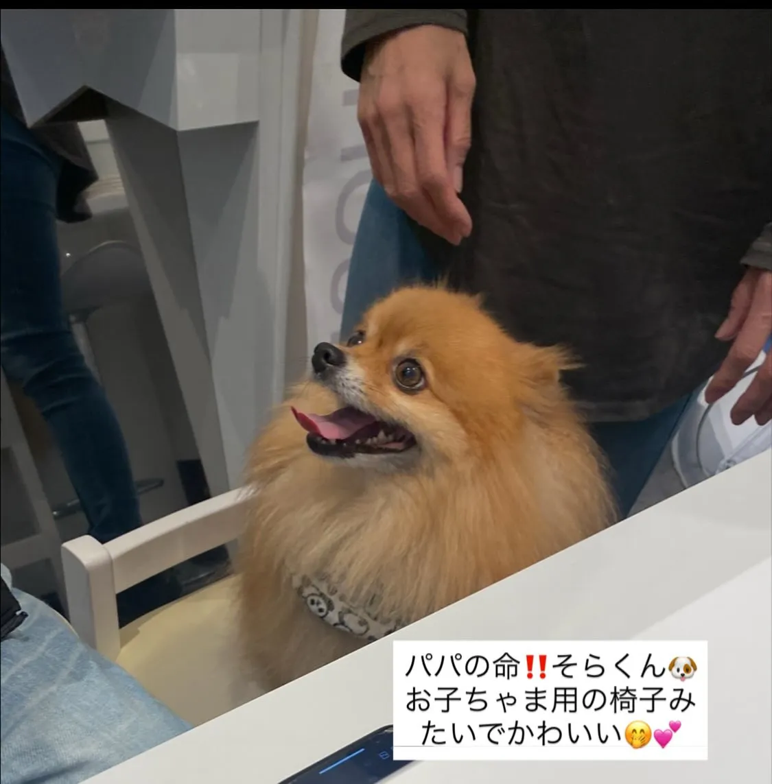 ドリーの兄弟  げんくん🐻️💕