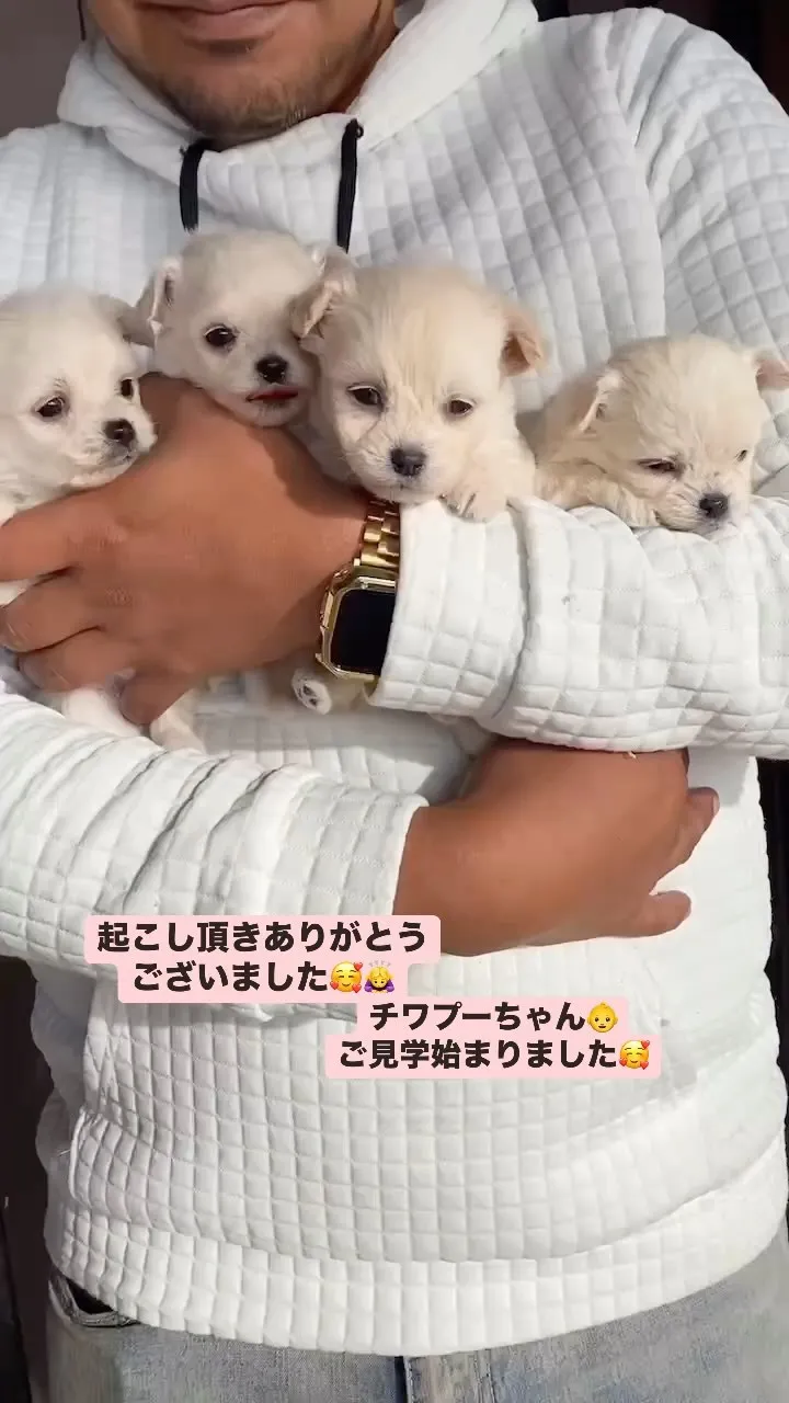 ❤️LOVE＆PEACE DOG HOUSE☮️