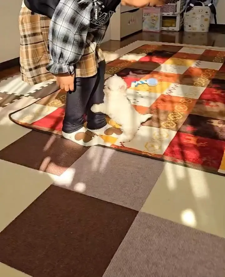 ❤️LOVE＆PEACE DOG HOUSE☮️