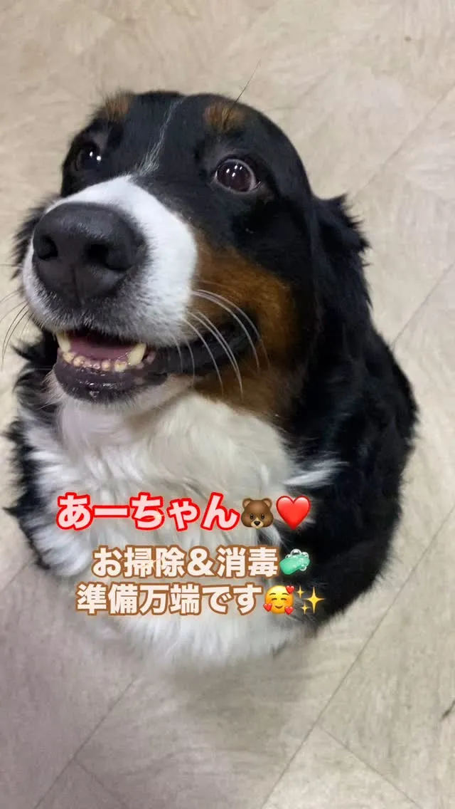 ❤️LOVE＆PEACE DOG HOUSE☮️