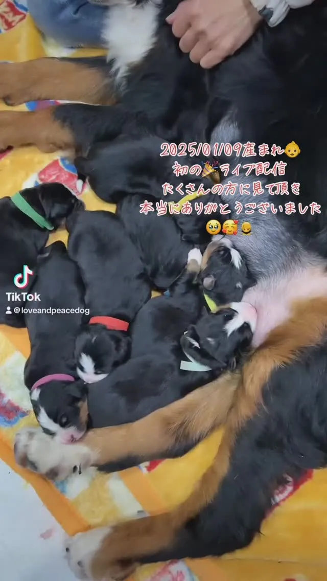 2025.01/09産まれ👶