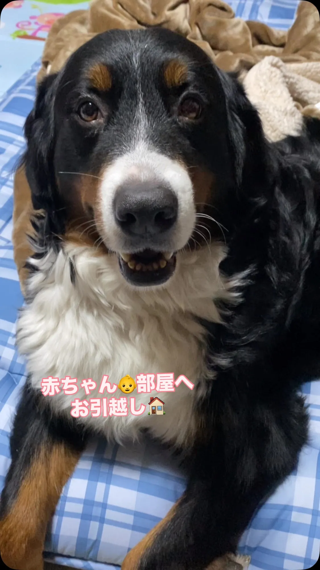 あーちゃん🐻‍