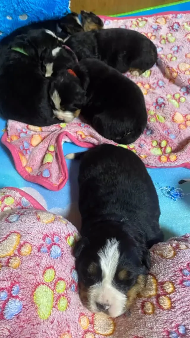 あーちゃん🐻‍