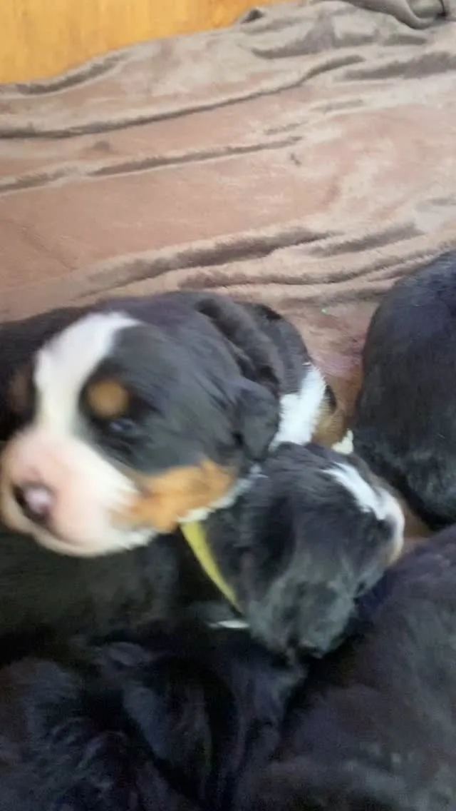 あーちゃん🐻‍