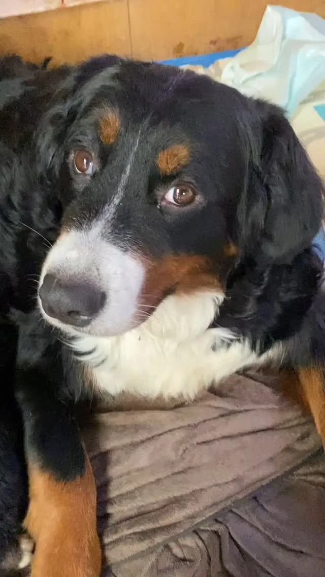 あーちゃん🐻‍