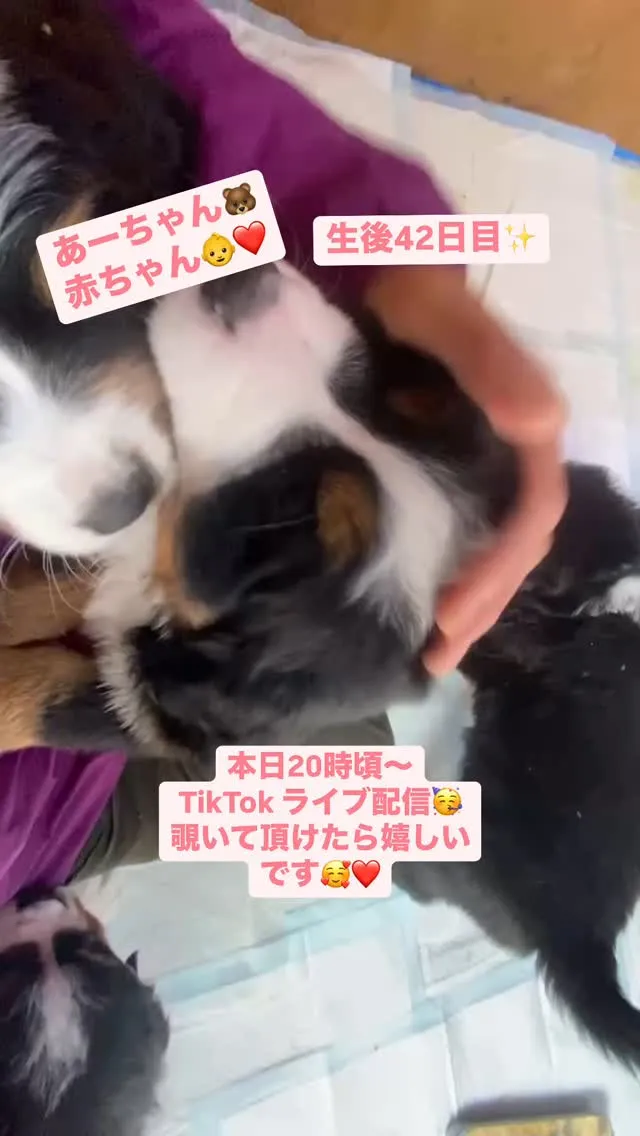 あーちゃん🐻‍赤ちゃん👶