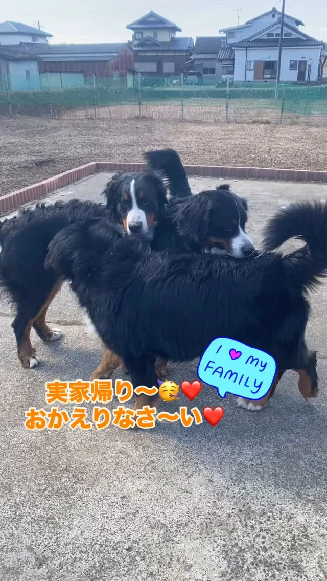 エルサ🐻‍KIDS👶