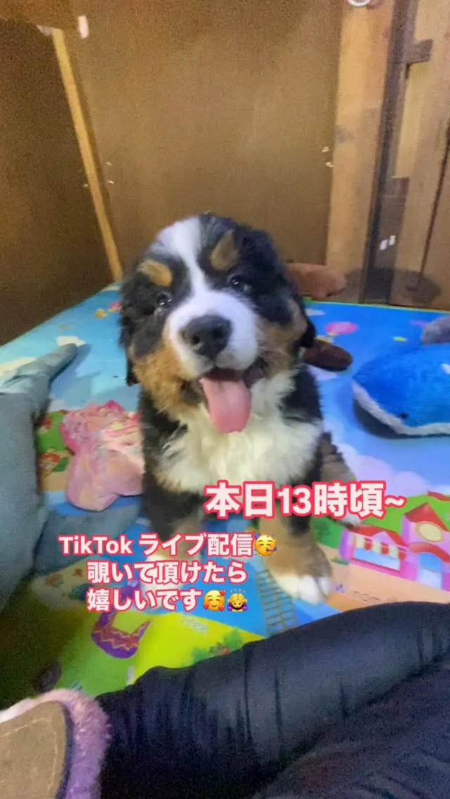 あーちゃん🐻‍赤ちゃん👶❤️