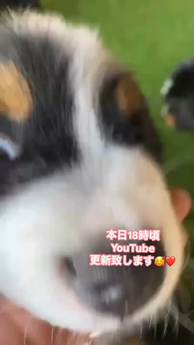 あーちゃん🐻‍赤ちゃん👶❤️