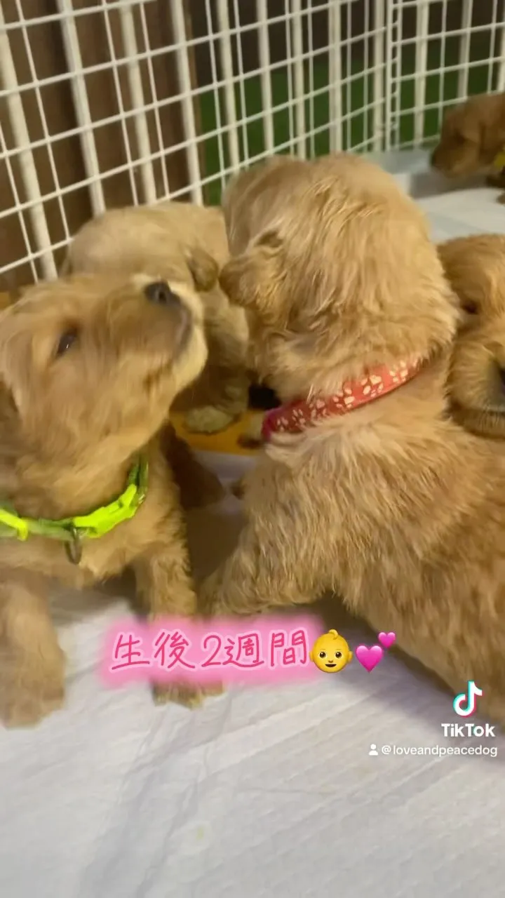 生後2週間👶💕