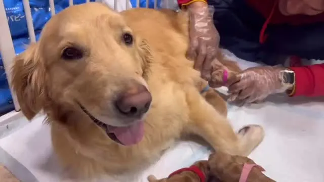 悲しくて投稿がいつまでも作れず…