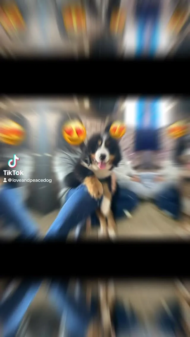 あーちゃん🐻️赤ちゃん👶