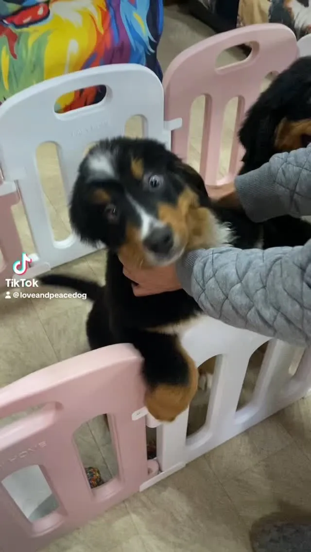 あーちゃん🐻赤ちゃん👶