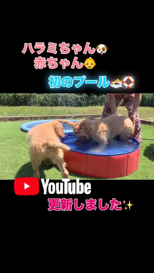 2025/03/29産まれ👶