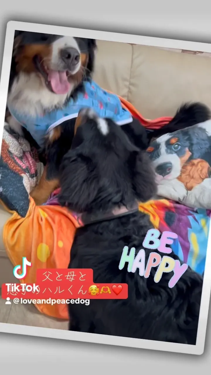 あーちゃんKIDS👦🐻‍の