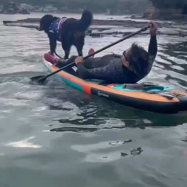 レオとドリーと👨と👩in 守谷　千葉😊