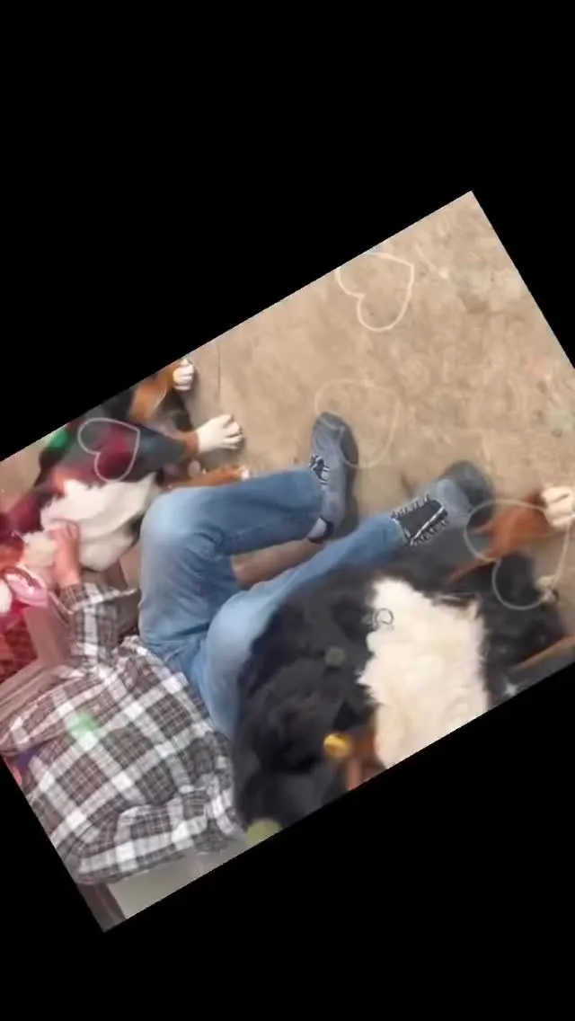 レオとアナのベイビーのボス君が遊びに来ていただきましたぁ🥹