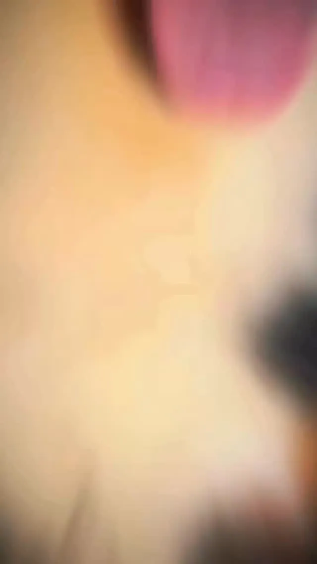 我が家の🐶ズ達☺️🩷🐶