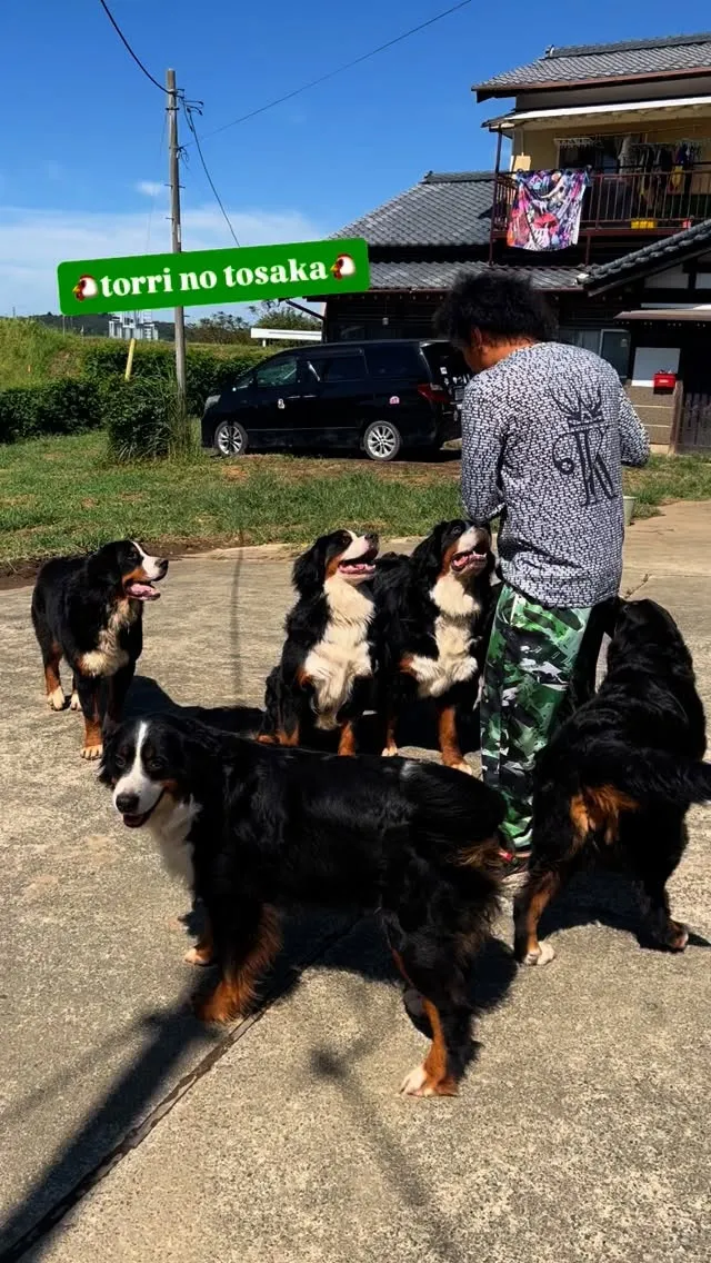 この動画ストーリーにアップしたらエマに、それ載せたらアカンや...