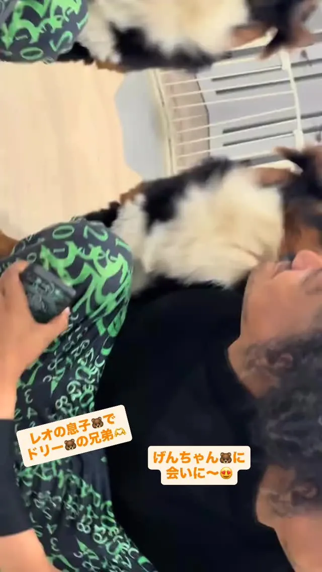 レオの息子🐻‍