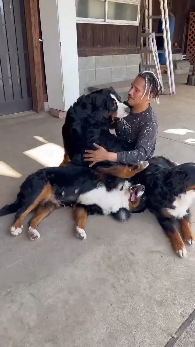 しーちゃん🐻‍🫶