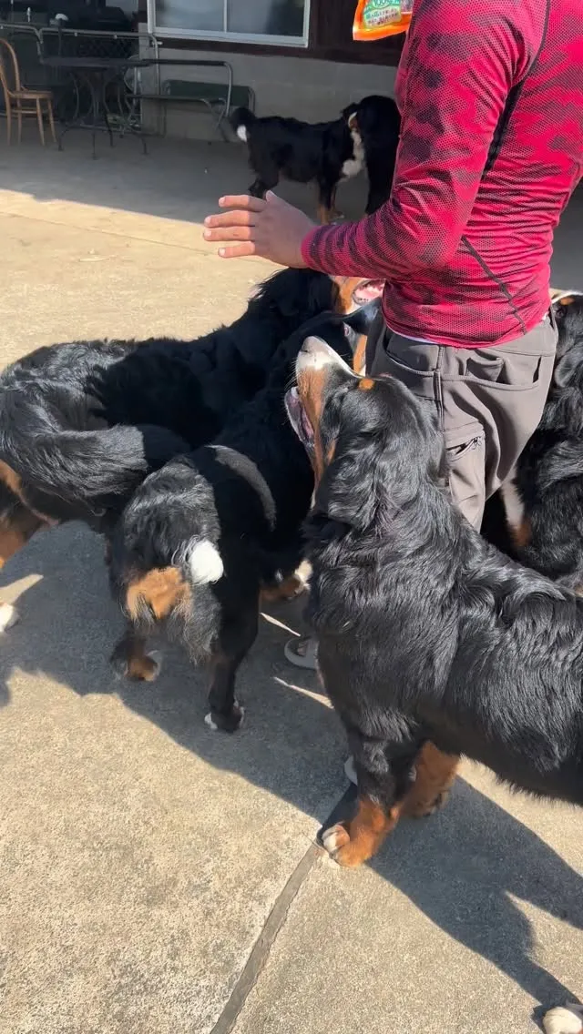 たくさんの方から美味しい