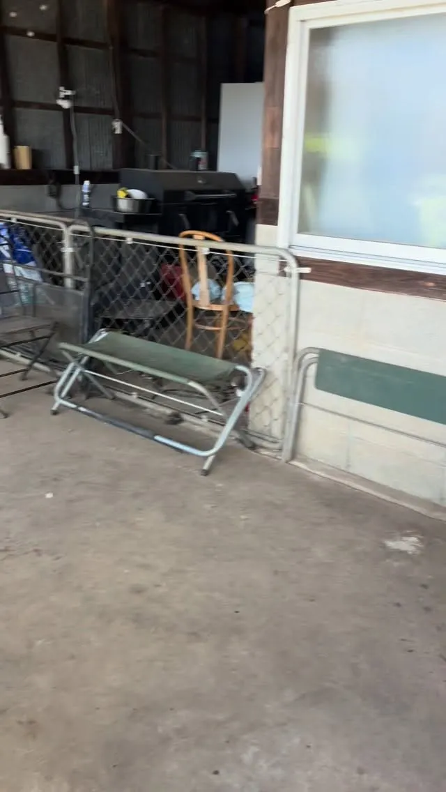 エマさんの愛用していたハンモックが😇www