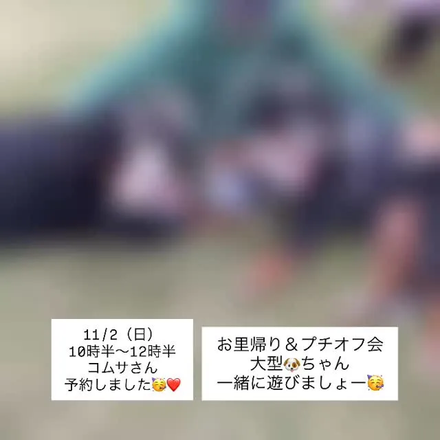 お里帰り＆プチオフ会の