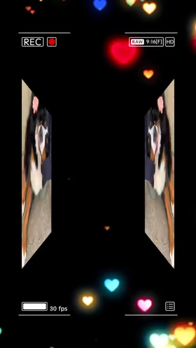 👩‍🦱の親友が遊びに来てくれました🥳❤️